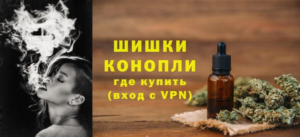 ПСИЛОЦИБИНОВЫЕ ГРИБЫ Михайлов