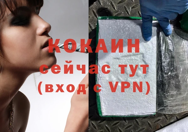 ПСИЛОЦИБИНОВЫЕ ГРИБЫ Михайлов