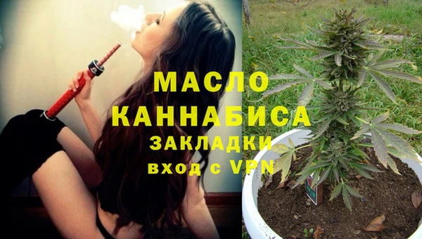 ПСИЛОЦИБИНОВЫЕ ГРИБЫ Михайлов
