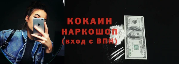 ПСИЛОЦИБИНОВЫЕ ГРИБЫ Михайлов