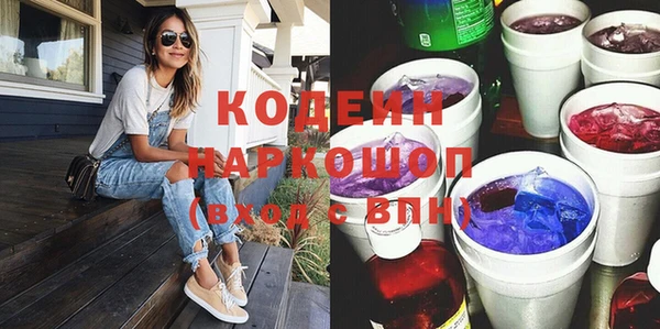 ПСИЛОЦИБИНОВЫЕ ГРИБЫ Михайлов