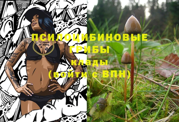 ПСИЛОЦИБИНОВЫЕ ГРИБЫ Михайлов