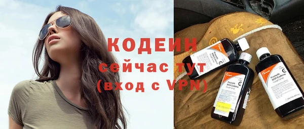 ПСИЛОЦИБИНОВЫЕ ГРИБЫ Михайлов