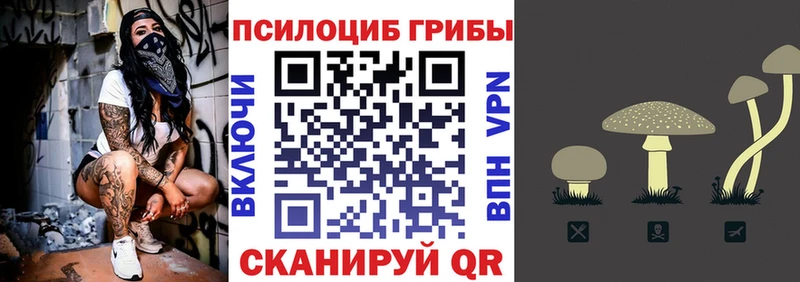 Псилоцибиновые грибы Cubensis  Чердынь 